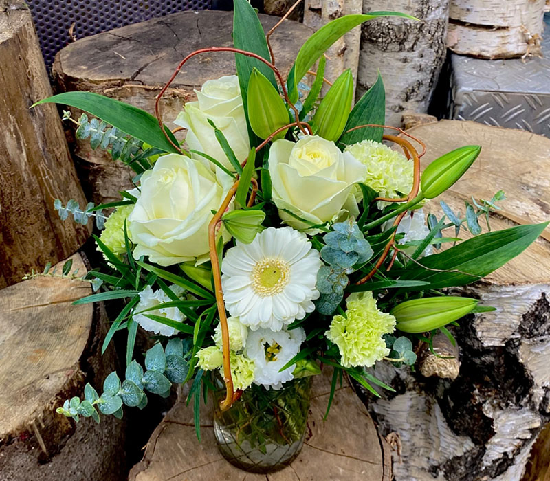 Blumen Nicolaye - Blanca