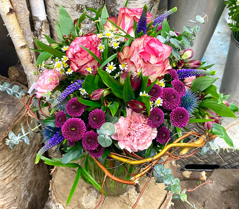 Blumen Nicolaye - Charming