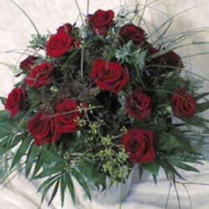 Blumen Nicolaye - Don Giovanni