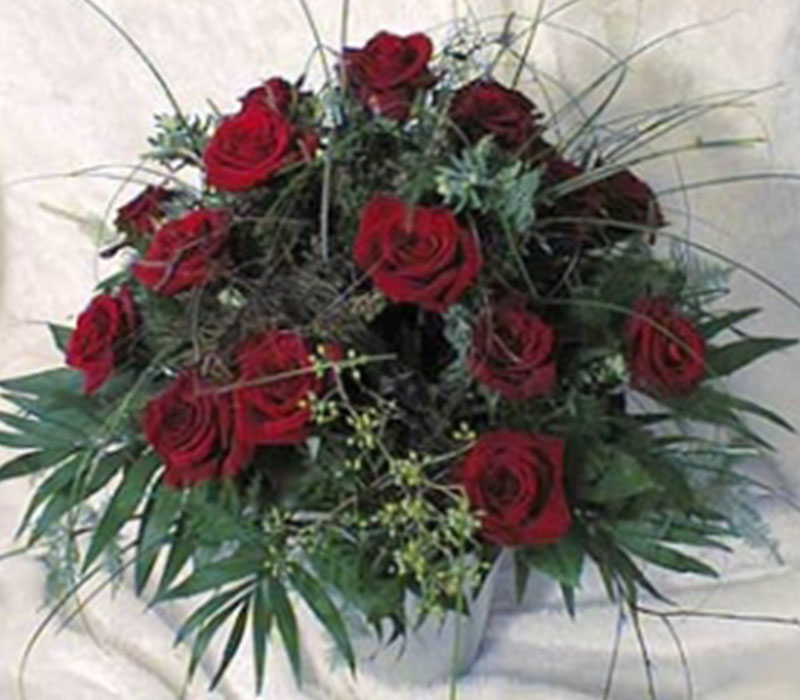 Blumen Nicolaye - Don Giovanni