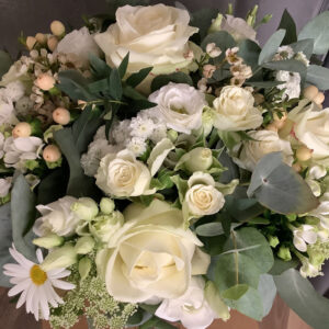 Blumen Nicolaye - Feenfest