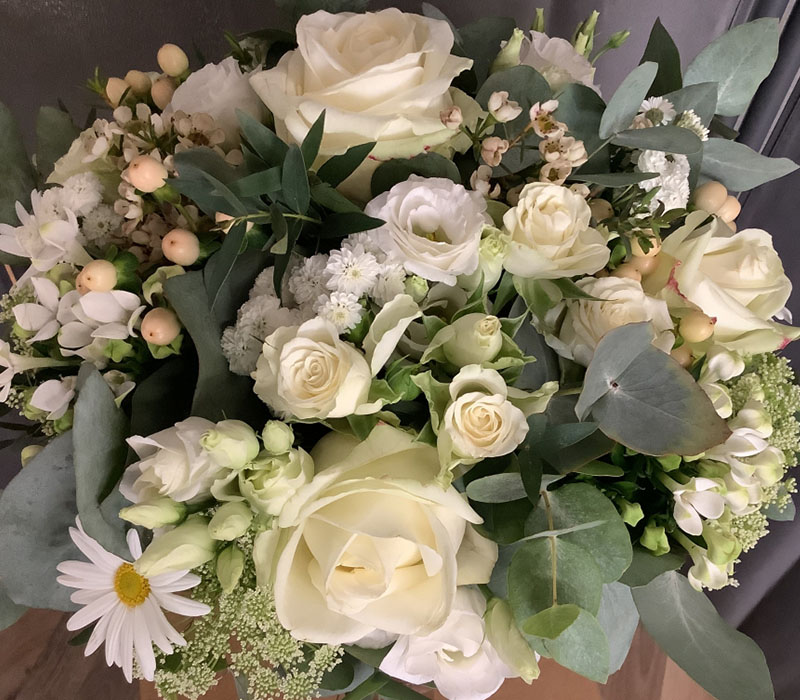 Blumen Nicolaye - Feenfest