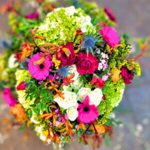 Blumen Nicolaye - Lisa-Marie