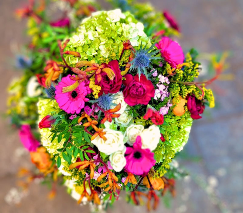 Blumen Nicolaye - Lisa-Marie