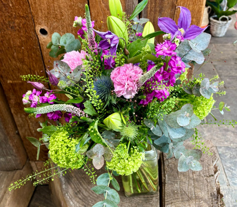 Blumen Nicolaye - Molly