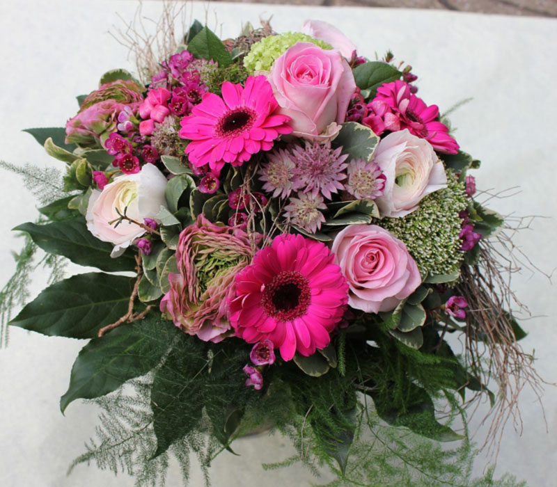 Blumen Nicolaye - Pinky