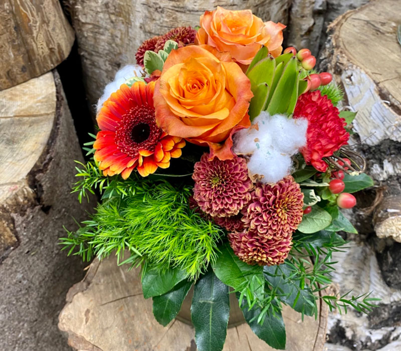 Blumen Nicolaye - Puffel