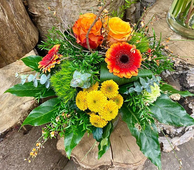 Blumen Nicolaye - Satyr