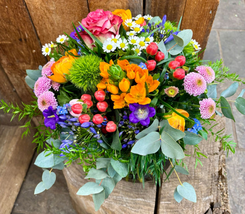 Blumen Nicolaye - Spring Break