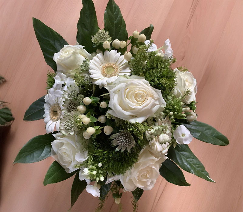 Blumen Nicolaye - White Lady